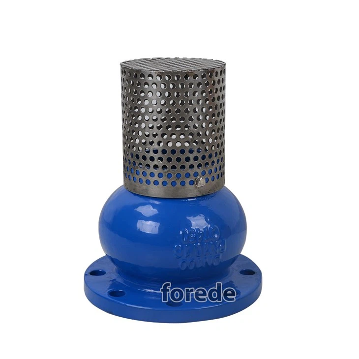 Flange Type End Foot Valve