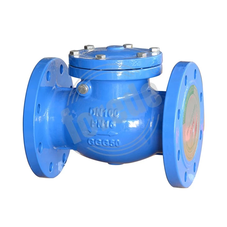 Swing Check Valve Flanged Ends best