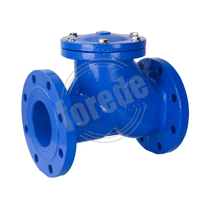 Valvola di ritegno a sfera con estremità flangiata da 1,6 MPa