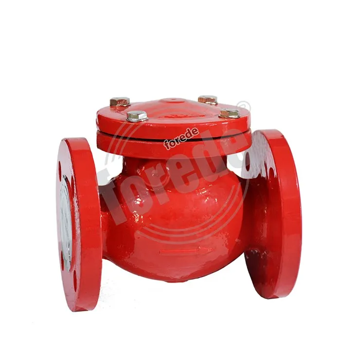 Ductile Iron Flange End Swing Check Valve
