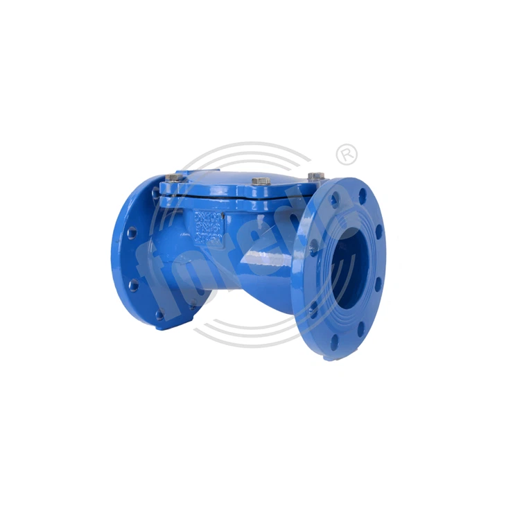 Flexible Disc Check Valves
