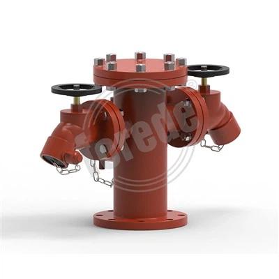 Idrante antincendio con 2*2,5" BS336